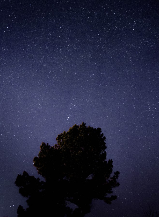 cielo, noche, estrella estrellas, estrellado, paisaje, arbol, nocturno, 