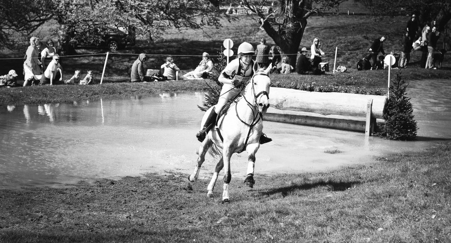 Ed Gregory, Evento, Chica, Mujer, Carrera, Equitacion, Caballo blanco, blanco y negro, animales competencia, ensayos ecuestres de caballos, deportes, polo,