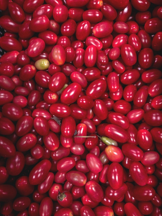 tomates, tomate cherry, frutas, alimentos, mercado de verduras, comida sana, dátil, pequeños, rojo, vegetales
