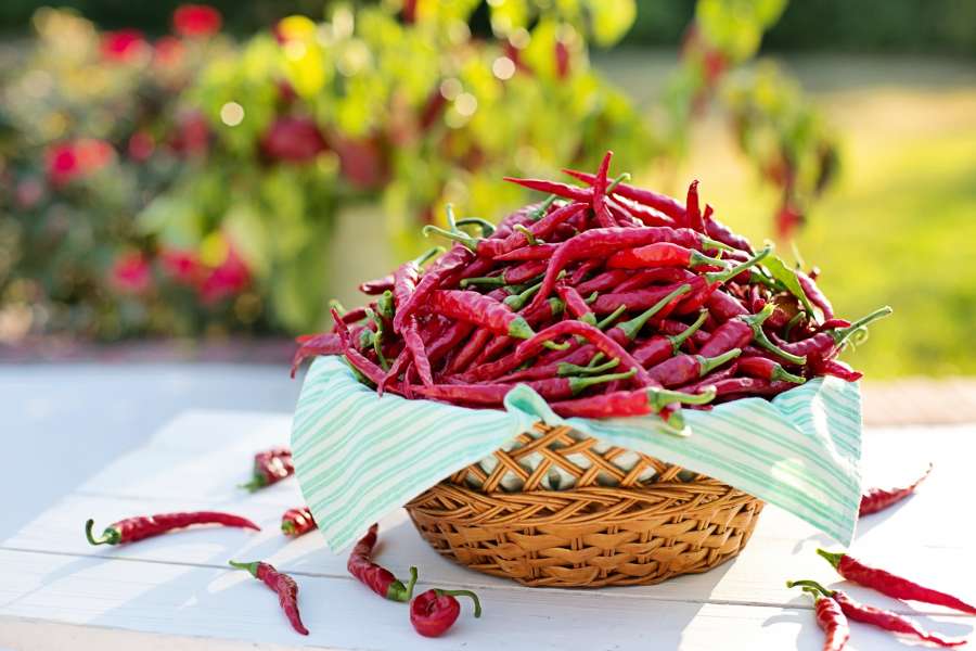 pimienta, cayena, pimiento, rojo, aji, picante, bowl, plano, comida, verdura, fresco, rojo, ingrediente, 