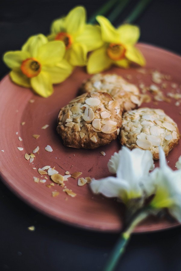 cocina, comidas, galleta, galletitas, avena, saludable, nutritivo, gourmet, plato, dulce, almendra, 