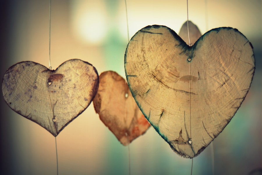 madera, decoración, colgante, corazones, tronco, formas, desenfoque, adorno, romántico, amor, ternura, tierno, dulce, dulzura, dia de los enamorados, san valentin, corazon, imagenes de amor, imagenes tiernas de amor, imagenes romanticas, imagenes gratis de amor, enamorar, novia, novio, novios, fondos de pantalla de amor, fondos de pantalla de corazon Hd, fondos de pantalla Hd,imagenes en hd de amor, imagenes de amor tiernas para celular, imagen3s de amor