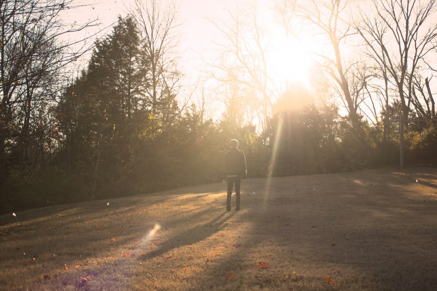 hombre, jardin, campo, atardecer, joven, naturaleza, rayo de sol, mirando el horizonte, tranquilidad, 