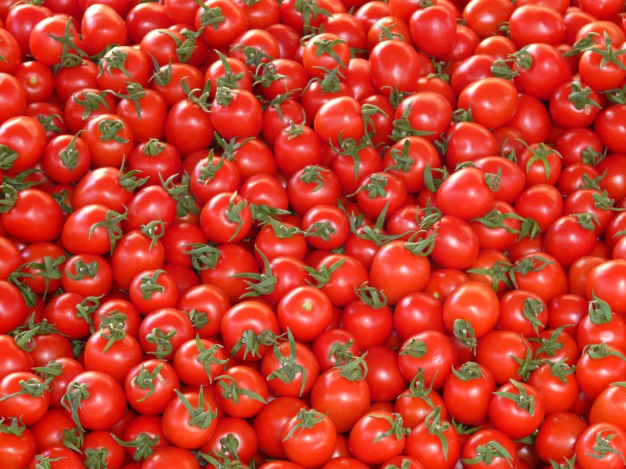 tomate, pequeño, mercado, comidas, rojo, cultivo, fondo, primer plano, muchos, vibrante, agricultura, dieta, organico, frutas, vegetal, macro, sano, brillante, textura, vitaminas, color, cerca, fresco, nutricion, naturaleza, cosecha, comidas, cherry, 
