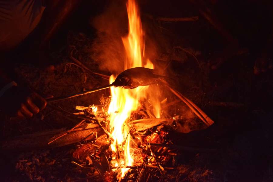 cocina, pescado, comida, hoguera, al aire libre, fuego, caliente, madera, cocinar, parrilla, humo, naturaleza, barbacoa, llama, calor, comida, fresco, picnic, saludable, verano, cena, sabroso, acampar, delicioso, vacaciones, barbacoa, trucha, carne, interrogatorio intenso, horneado, mar, primer plano, filete, gastrónomo, almuerzo, parrilla, negro, comer, natural, bosque, turismo, leña, quemar, asado, sopa, dieta, cocina