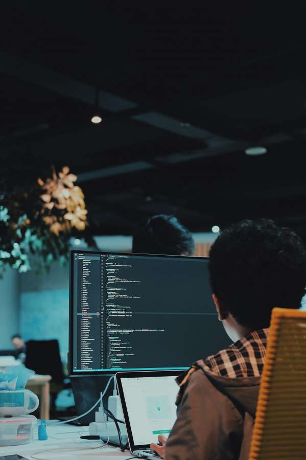 programación, pc, tecnología, internet, programa, web, computadoras, redes, comunicación, personas, jóvenes, mecanografía, datos, sala, información