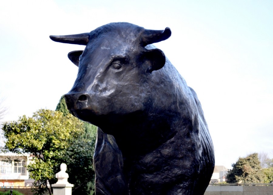 toro, estatua, hierro, osorno, chile, dia, animales plaza de armas, plaza, 