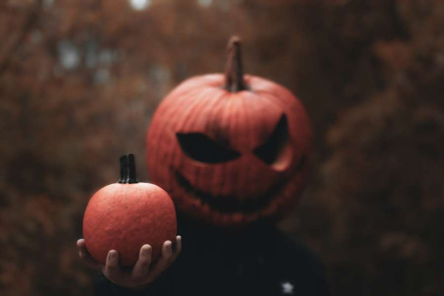 halloween, horror, fondo, fiesta, escalofriante, aterrador, noche, calabaza, celebración, oscuro, diseño, otoño, silueta, mal, miedo, negro, luna, tarjeta, vector, misterio, fiesta, murciélago, linterna, símbolo, pancarta, cartel, octubre, concepto, feliz, espeluznante, araña, completo, decoración, elemento, web, tratar, gráfico, naranja, cementerio, saludo, truco, art, tumba, fantasma, firmar, volante, invitación, cementerio,