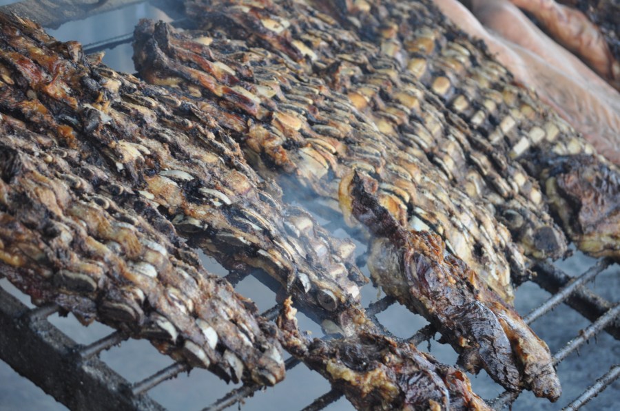 Asado, Asador, Parrilla, Comida Tipica, Tradicion, Campo, Carne, Costillar, Costillas, Brasas, Cocido, Caliente, Grasa, Argentino, Argentina, Carne de Res 
