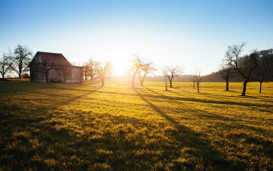 atardecer, paisaje, granja, campo, escena rural, exterior, amanecer, cesped, 