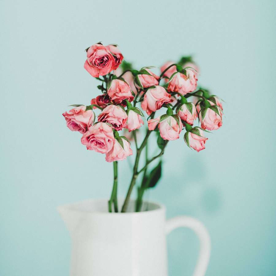 Rosa, Flor, Flor, Ramo, Florero, Manojo, Rosa, Rojo, Azul, fondos de pantalla hd, fondos de pantalla 4k 