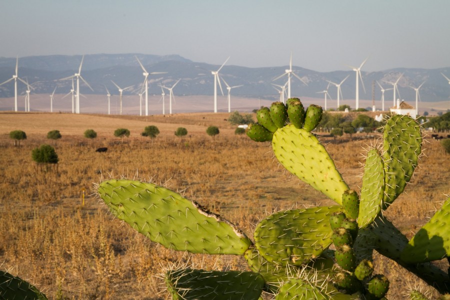 molinos de viento, tecnologia, campo, exterior, molino, energia, eolica, natural, alternativa, ecologia, medio ambiente, 