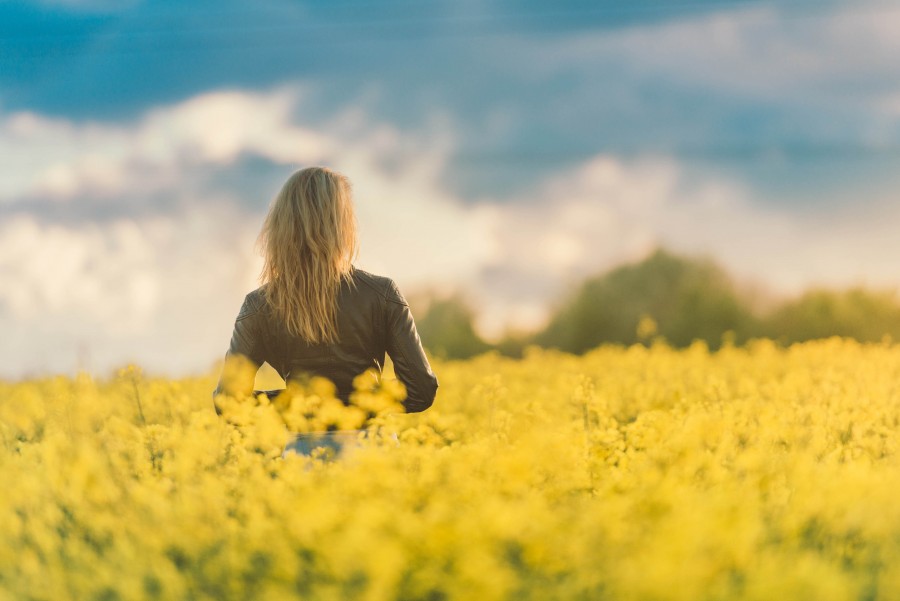 Flor, Flores, Chica, Verano, Puesta de sol, mujer, amarillo, fondo, rubio, campo, llamarada, chaqueta, cuero, naturaleza, afuera, persona, sol, salida del sol,
