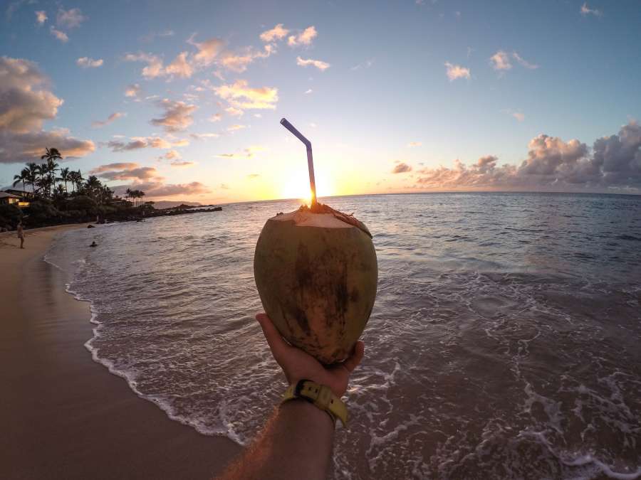 verano, vacaciones, coco, manos, bebida, cocktail, sostener, tropical, playa, atardecer, paisaje, una persona, hombre, sorbete, 
