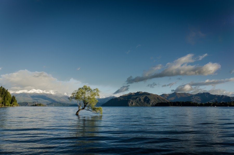 Nieuw Zeeland, South Island, Wanaka, Nueva Zelanda, Oceania, Isla, paisaje, dia, lago, 