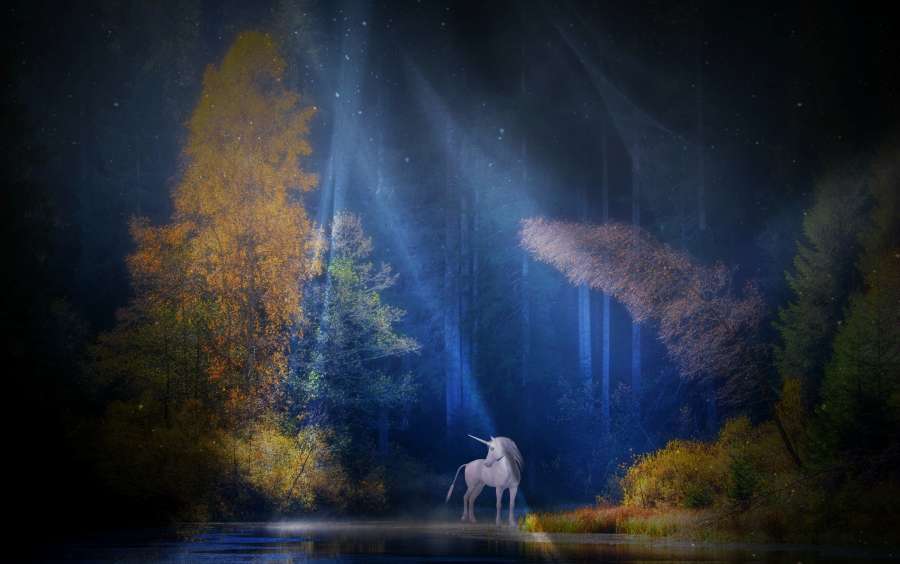 unicornio, hermoso, mitologia, tierno, unicornio para imprimir, fondo de pantalla de unicornio, unicornio animado, animales imagenes de unicornios infantiles, fondo de unicornio, imagenes de unicornios bonitos, dibujo de unicornio, unicornios a color, unicornios para colorear, imagenes de unicornios reales, unicornios kawaii,colorido,fondos de pantalla kawaii