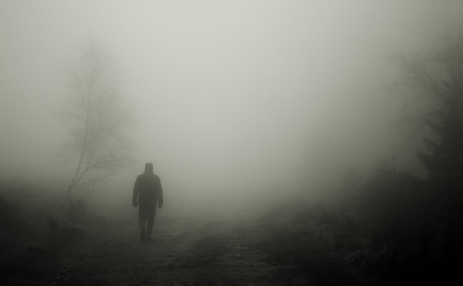 hombre, niebla, bruma, misterio, aire libre, exterior, campo, caminio, silueta, misterioso, mañana, neblina, una persona, gris, 