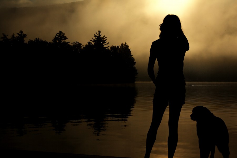 mujer, perro, mascota, amistad, fidelidad, amanecer, costa, rio, vacaciones, viaje, viajar, lago, paisaje, oscuro, bruma, niebla, concepto, 
