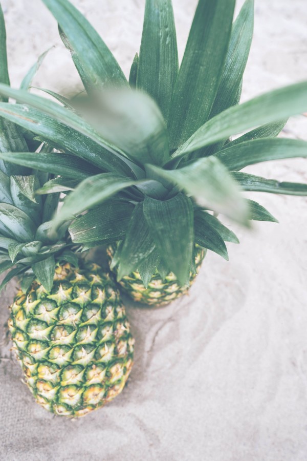 piña, frutas, frutas, fresco, tropical, comidas, anana, maduro, madura, primer plano, 