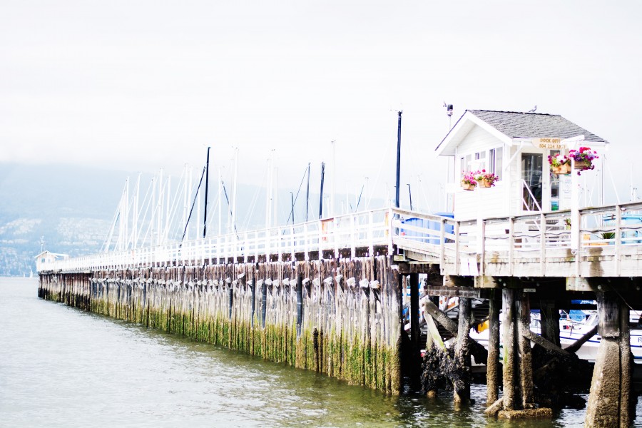 muelle, marino, costa, dia, primer plano, madera, palo, palos, 
