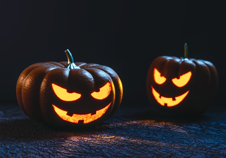 Halloween, calabaza, terror, luz, nadie, miedo, iluminado, 