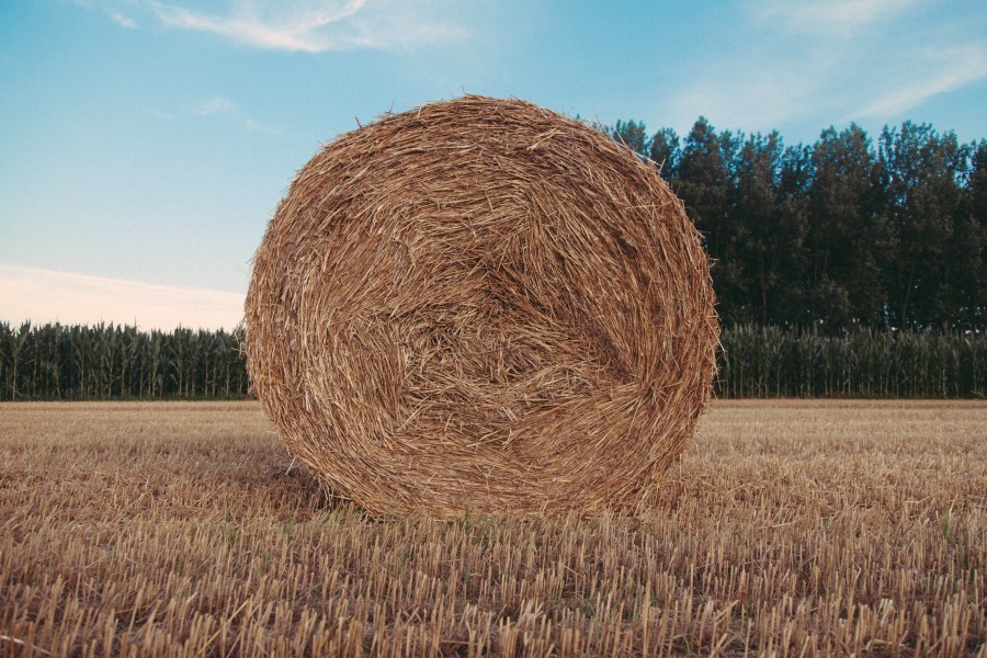 splitshire, naturaleza, campo, escena rural, fardo de pasto, seco, fardo, rollo, 