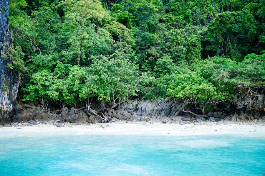 playa, caribe, nadie, selva, bosque, paisaje, verano, costa, mar, virgen, turismo, turistico, viaje, viajar, 