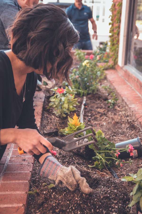 jardín, jardinería, naturaleza, tierra, planta, verde, primavera, mano, jardinero, crecimiento, vegetal, suelo, agricultura, crecer, orgánico