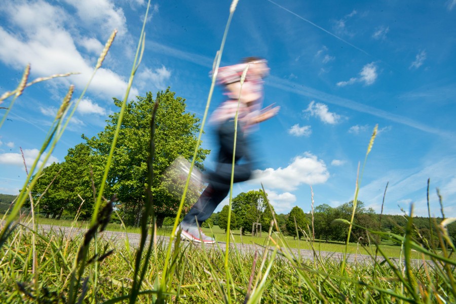 10k, Camino, Cielo, deportes, calle, arboles, azul, campos, imágenes gratis, funrun, verde, trotar, varón, hombre, maratón, funcionamiento, zapatos, primavera, instructores, entrenamiento,
