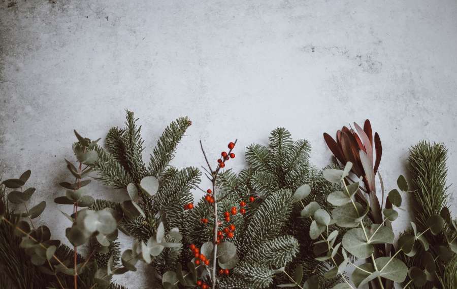 celebración, navidad, diciembre, decoración, tradición, navidad, feliz, adornos, adornos navideños, copia espacio, decoración navideña, navidad, felicidad, estacional, hermosa, brillo, fondo, textura, muérdago,
