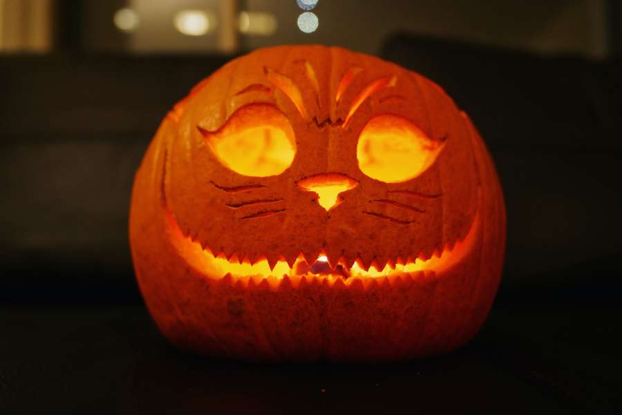 halloween, horror, fondo, fiesta, escalofriante, aterrador, noche, calabaza, celebración, oscuro, diseño, otoño, silueta, mal, miedo, negro, luna, tarjeta, vector, misterio, fiesta, murciélago, linterna, símbolo, pancarta, cartel, octubre, concepto, feliz, espeluznante, araña, completo, decoración, elemento, web, tratar, gráfico, naranja, cementerio, saludo, truco, art, tumba, fantasma, firmar, volante, invitación, cementerio,
