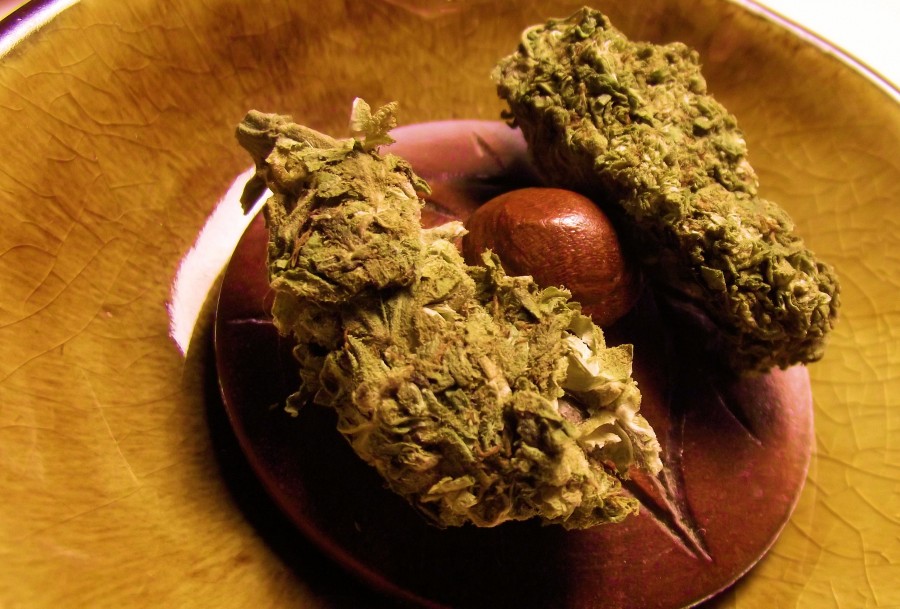 marihuana, droga, maria, adiccion, ilegal, planta