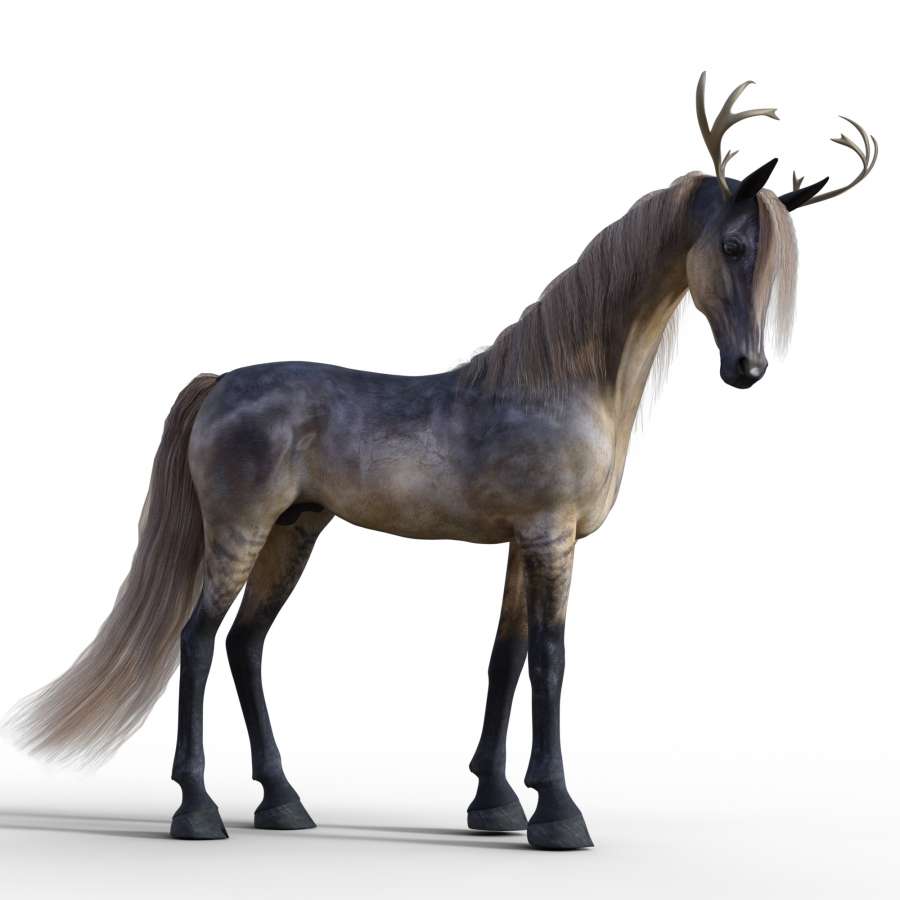 unicornio, hermoso, mitologia, tierno, unicornio para imprimir, fondo de pantalla de unicornio, unicornio animado, animales imagenes de unicornios infantiles, fondo de unicornio, imagenes de unicornios bonitos, dibujo de unicornio, unicornios a color, unicornios para colorear, imagenes de unicornios reales, unicornios kawaii,colorido,fondos de pantalla kawaii