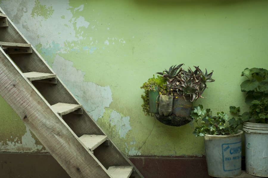 Escalera, Patio Abonadono, verde, Viejo