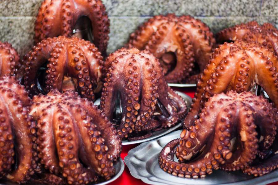 cocina, mariscos, cocido, pulpo, comida, saludable, fresco, gastrónomo, primer plano, tentáculo, fondo, pescado, cocina, crudo, plato, molusco, púrpura, preparado, comida, delicioso, almuerzo, carne, plato, listo para comer, cena, natural, hervido, océano, animal, de madera, restaurante, de cerca, ventosa, aislado, marino, estilo de vida, cocina, salud, frescura, delicatessen, dieta, listo, espiral, aperitivo, lujo