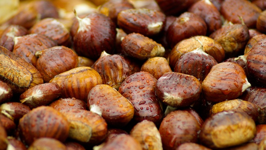 castaña, castañas, frutos secos, semilla, primer plano, comidas, 
