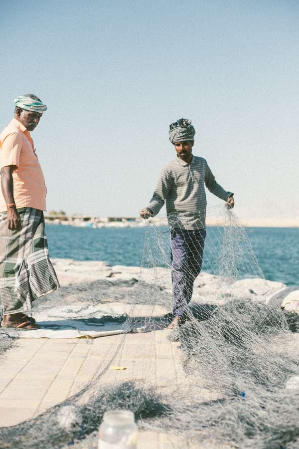 playa, agua, arena, mar, trabajo, hombre, industria, personas, feliz, costa, olas, trabajador, al aire libre, naturaleza, trabajando