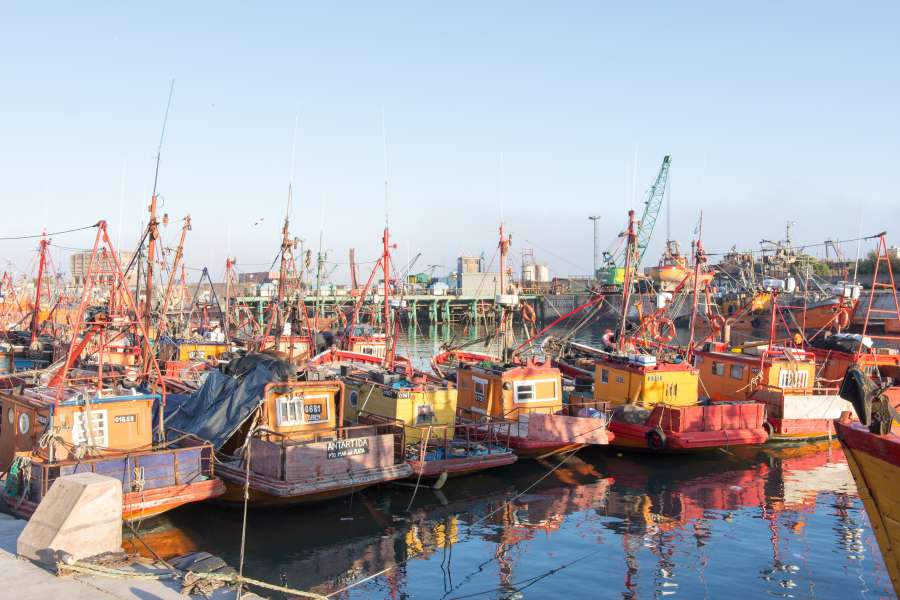 barco, pesquero, puerto, mar del plata, argentina, buenos aires, dia, industria, nadie, 