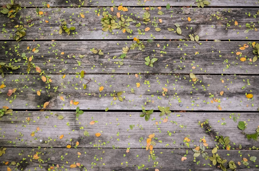 fondo, background, madera, hojas, naturaleza, 