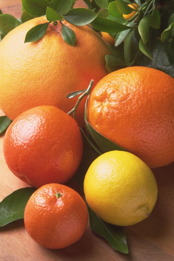 citricos, citrico, naranja, pomelo, limon, frutas, frutas, frutal, background, 