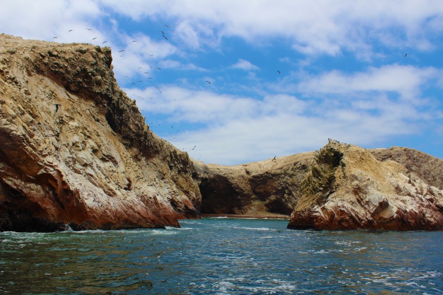 Islas Ballestas, Paracas, Peru, America, Latina, Latino, lugar turistico, costa, pacifico, 