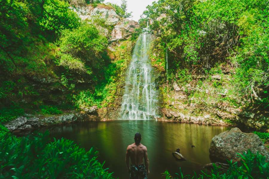 hawai, excursionismo, naturaleza, aventuras, montaña, viajar, paisaje, verde, selva verde, Cascadas, Mujer rubia, isla, caminata, volcán, calentar, azul, montañas hawaianas, niña sentada, Volcán hawaiano, Selva de hawai, niebla, Isla de montaña , la carretera, hombre, frío, agua, al aire libre, turista, cascada, río, salvaje, montañas, mujer, turismo, vertical, temperamental, Nubes, Cascada lluviosa, hombre, espalda, Cascada hawaiana, caliente,  