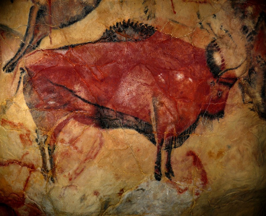 pintura, rupestre, cueva, cuevas, cueva de altamira, altamira, españa, europa, antiguedad, arte, antiguo, 