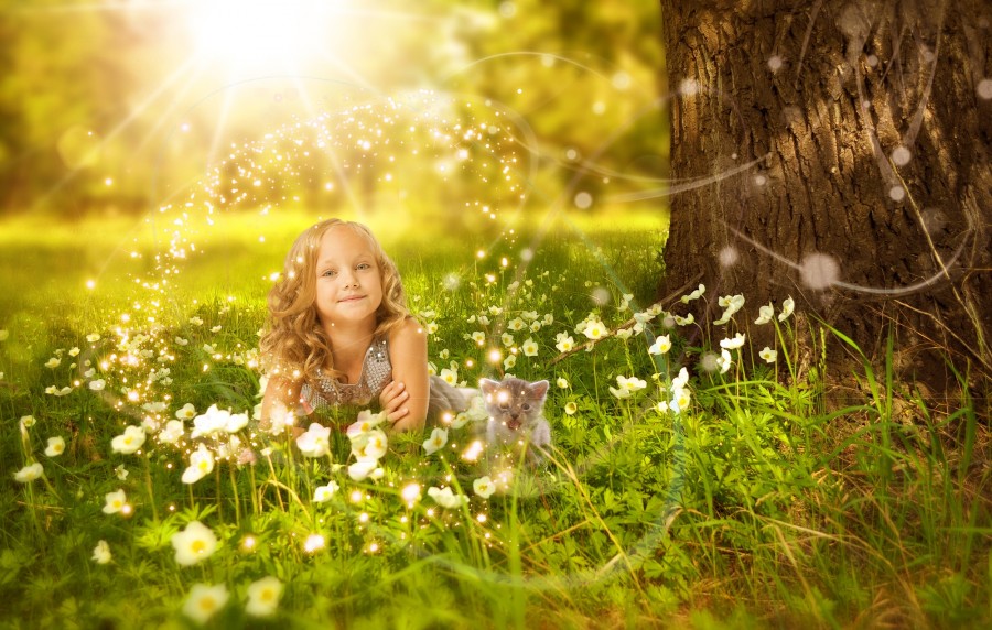 chicas, gato, árbol, sunshine, luz, praderas, flor, flash, verde, hermoso, fresco, niños, lindo, woods, sonrisa, flores, bokeh, patrón, femenino , fotos gratis,  imágenes gratis, gatito, bebé de gato, animales jóvenes, agresivo, caza, gato, pieles, encantadora, animales, carnívoros, lindo, esponjoso, cabello, bebé, mamífero, pata, mascotas, juguetón, retrato, pura sangre, pequeños, curioso, querido , fotos gratis,  imágenes gratis, Gato doméstico, Cabeza de animales Retrato, Gato melado, Monada, Gatito, Animales, Fotografía, Mirando a la cámara, Animal doméstico, Animal joven, Color, Día, Horizontal, Interior, Mascota, Nadie, Ojo de Animales, Parte del cuerpo animales Temas de animales, Un animales adorable, tierno, mascota, peludo, melena, colores, pelos, rayas, felino, minino, micifuz, michino, madrileño, felido, gatuno, fondos de pantalla hd, fondos de pantalla 4k, resolucion 4k, salvapantalla
