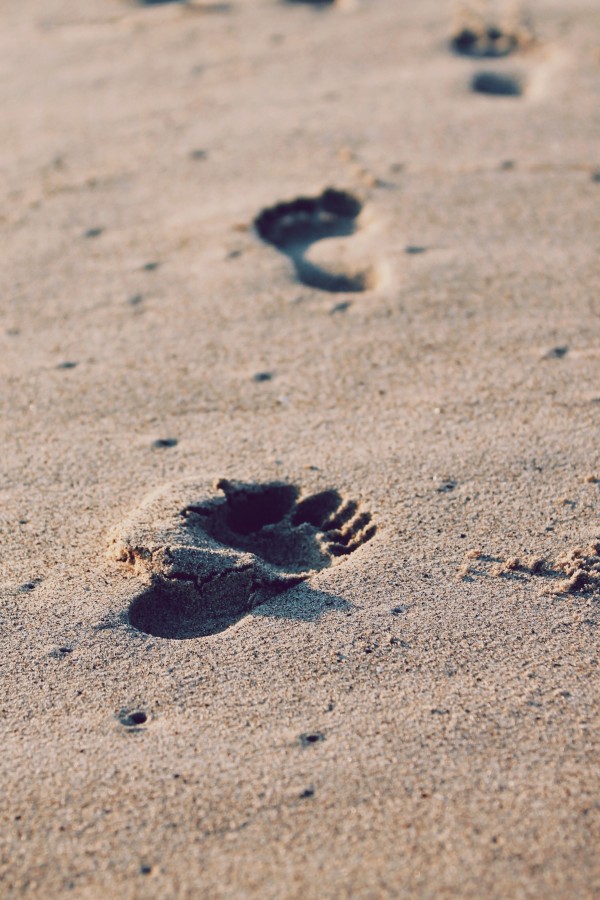 huella, huellas, concepto, destino, pisada, camino, arena, playa, 