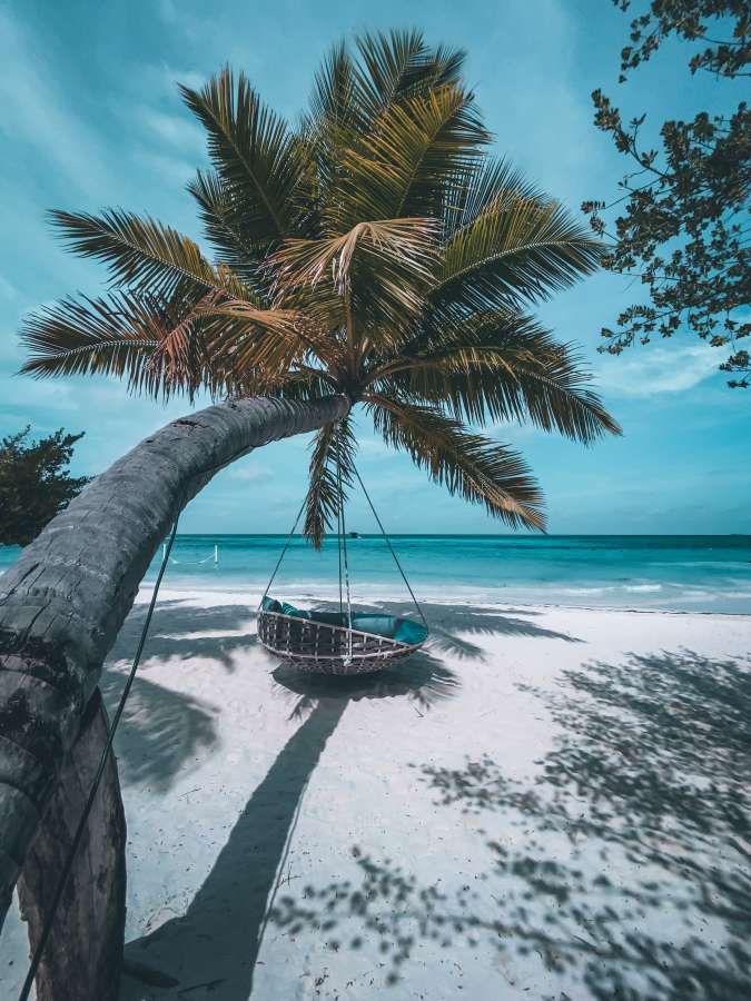 tropical, playa, hamaca, palma, vacaciones, verano, isla, árbol, viajar, relajarse, recurso, naturaleza, mar, relajación, océano, turismo, blanco, paraíso, arena, sol, al aire libre, fondo, apuntalar, soleado, cielo, agua, costa, azul, calma, fiesta, paisaje, planta, columpio, hermosa, marina, exótico, sueño, paisaje, vector, colgando, viaje, paz, colgar, descanso, belleza, ocio, sombra, coco, montículo, silueta