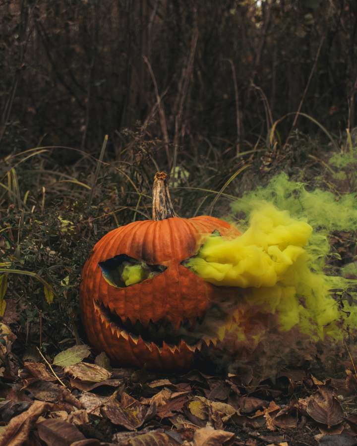 halloween, horror, fondo, fiesta, escalofriante, aterrador, noche, calabaza, celebración, oscuro, diseño, otoño, silueta, mal, miedo, negro, luna, tarjeta, vector, misterio, fiesta, murciélago, linterna, símbolo, pancarta, cartel, octubre, concepto, feliz, espeluznante, araña, completo, decoración, elemento, web, tratar, gráfico, naranja, cementerio, saludo, truco, art, tumba, fantasma, firmar, volante, invitación, cementerio,