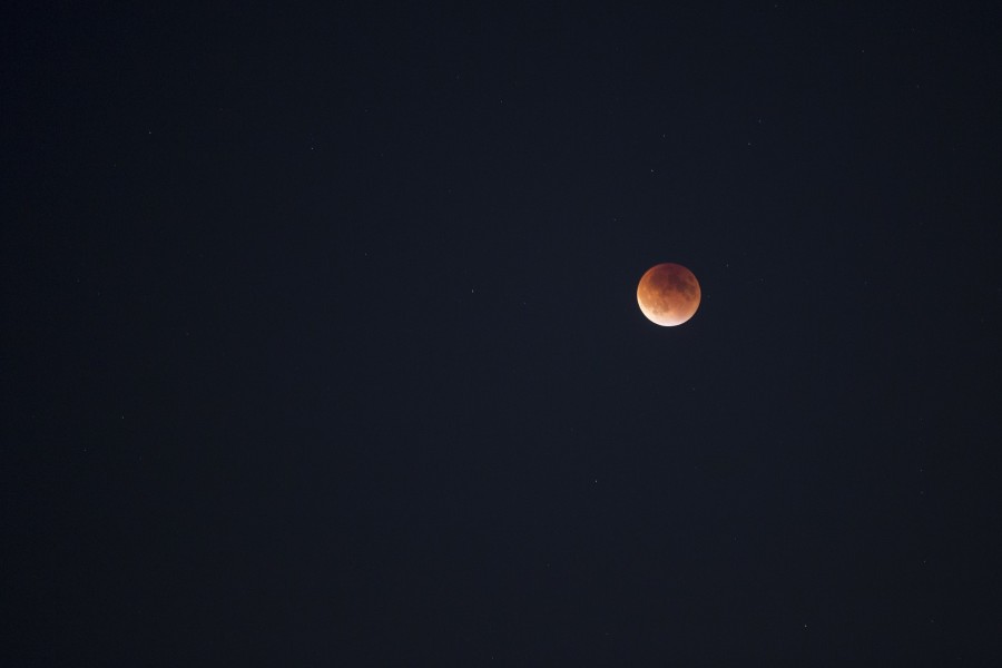 fase, lunar, fases, lunares, rojo, roja, luna, astro, etapa, etapas, eclipse, fondo, negro, astrologia, concepto,