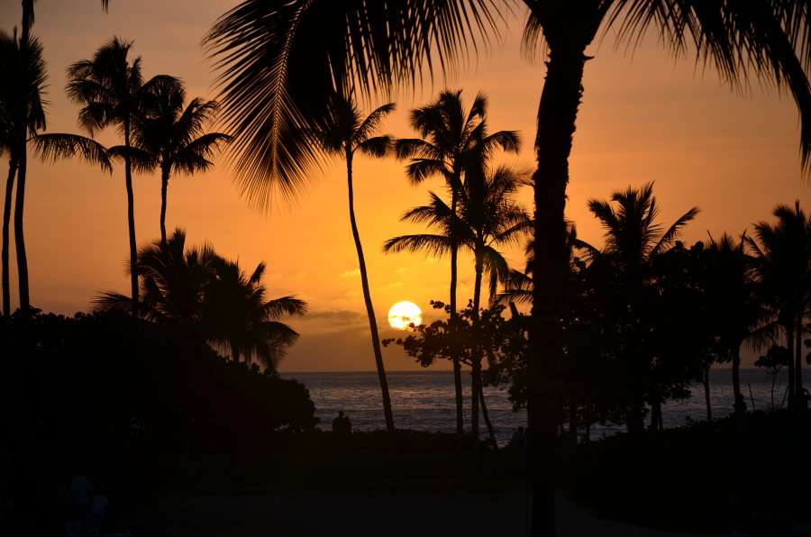 caribe, viajar, puesta de sol, paisaje, vacaciones, playa, paraíso, naturaleza, mar, isla, océano, tropical, verano, agua, sol, arena, fondo, palma, amanecer, recurso, cielo, soleado, turismo, coco, exótico, hermosa, árbol, costa, fiesta, luz de sol, trópico, marina, apuntalar, paisaje, línea costera, idílico, Hawai, relajarse, Bali, al aire libre, Bahamas, noche, Barbados, Tailandia, Árboles, nube, hoja, escénico, laguna, romántico
