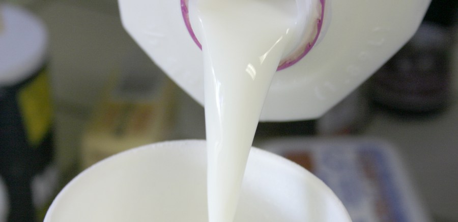 leche, botella, servir, merienda, desayuno, saludable, lacteo, blanco, bebida, 